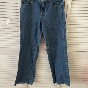Pacsun lowrise baggy jeans